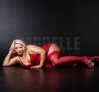 Glennys latina, 491787626961 Bild 5